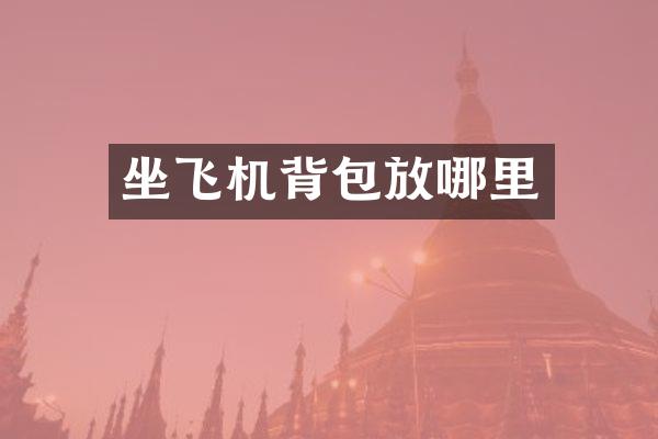 坐飞机背包放哪里