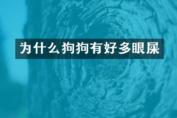 为什么狗狗有好多眼屎