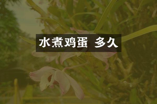 水煮鸡蛋 多久