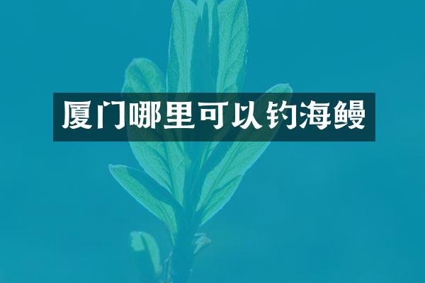 厦门哪里可以钓海鳗