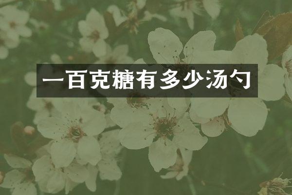 一百克糖有多少汤勺