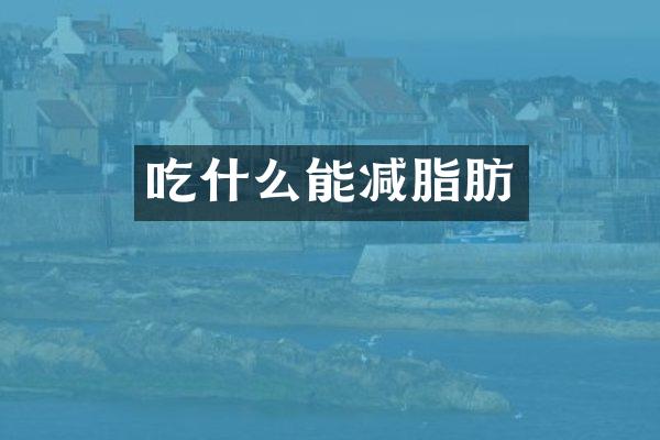 吃什么能减脂肪
