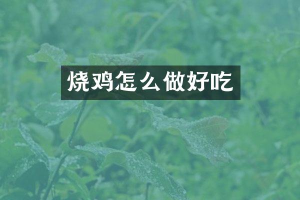 烧鸡怎么做好吃