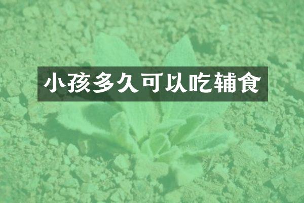 小孩多久可以吃辅食