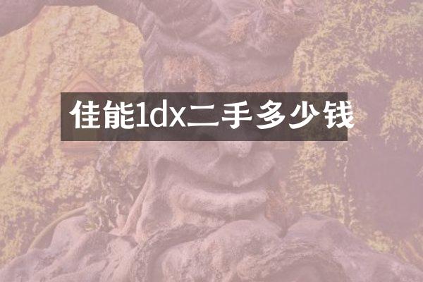 佳能1dx二手多少钱