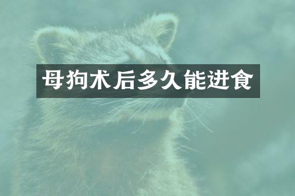 母狗术后多久能进食