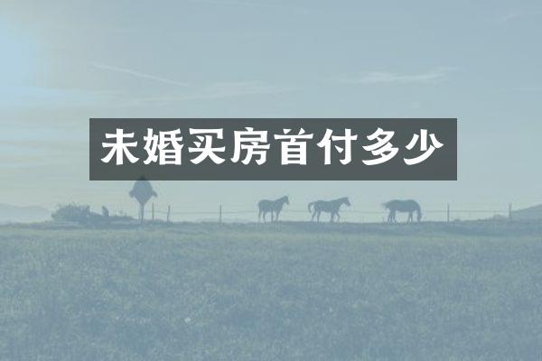 未婚买房首付多少