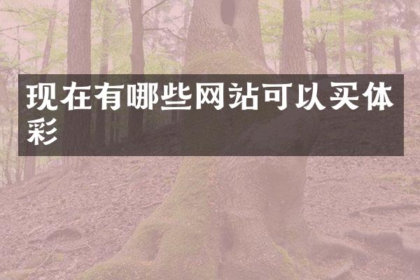 现在有哪些网站可以买体彩