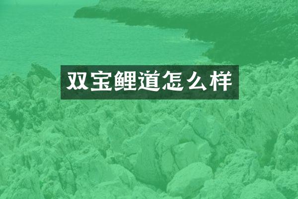 双宝鲤道怎么样