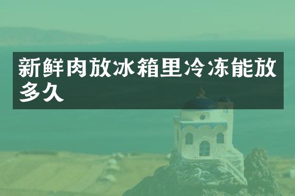 新鲜肉放冰箱里冷冻能放多久