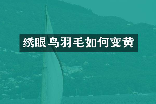 绣眼鸟羽毛如何变黄