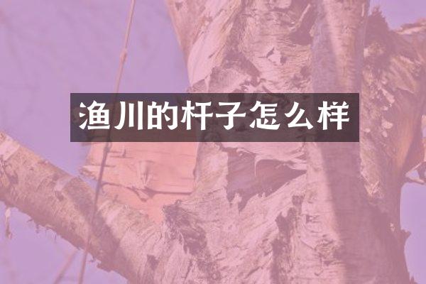 渔川的杆子怎么样