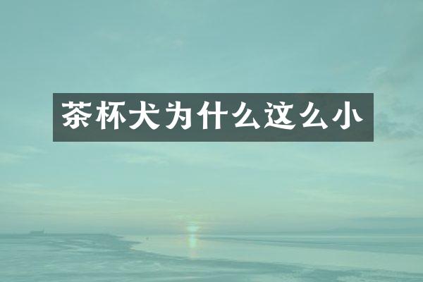 茶杯犬为什么这么小