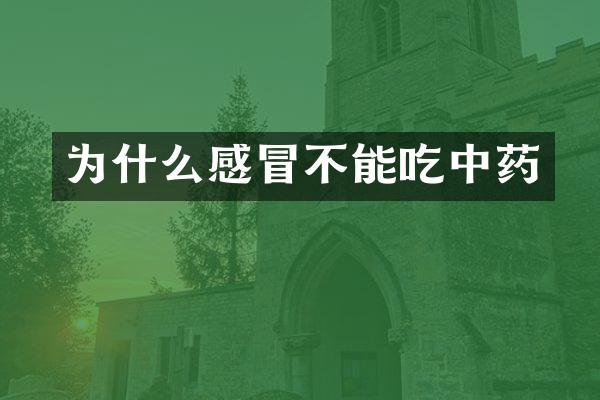 为什么感冒不能吃中药