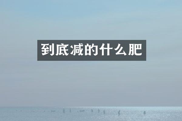 到底减的什么肥