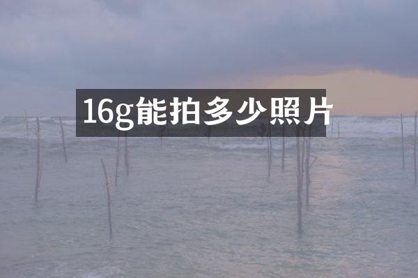 16g能拍多少照片
