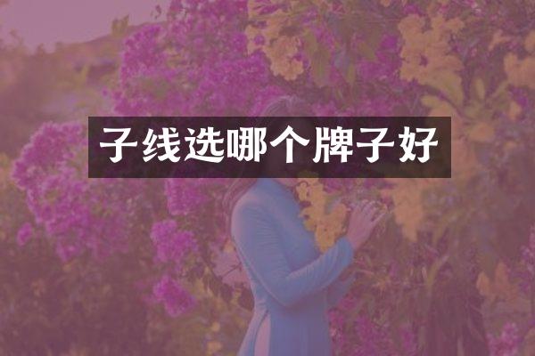 子线选哪个牌子好