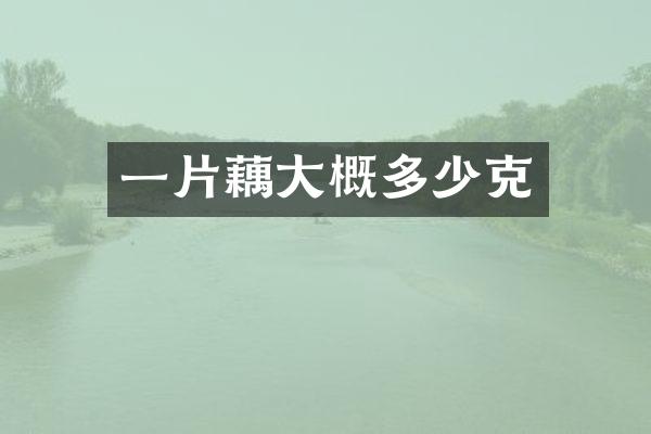 一片藕大概多少克