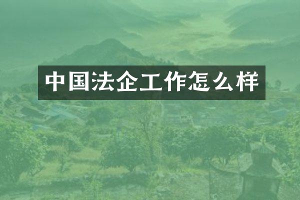 中国法企工作怎么样