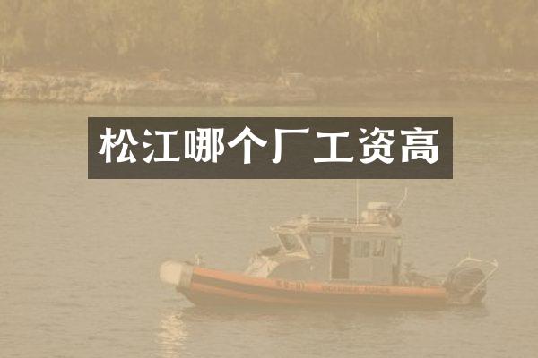 松江哪个厂工资高