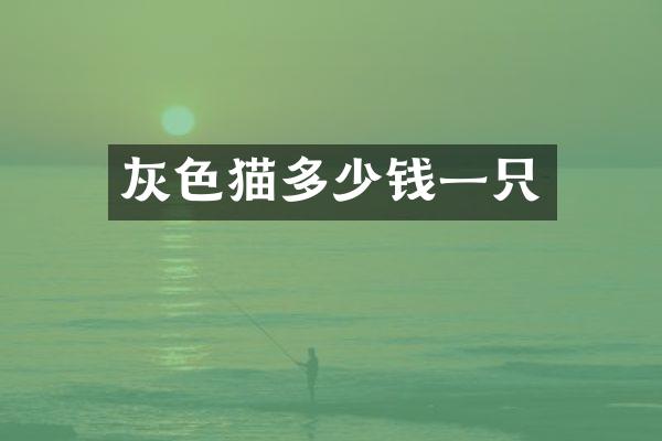 灰多少钱一只