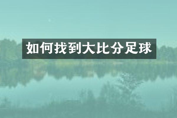 如何找到大比分足球
