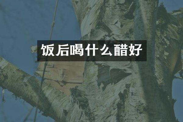 饭后喝什么醋好