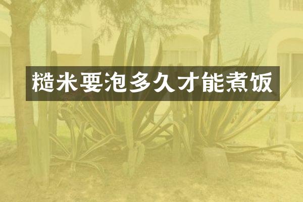 糙米要泡多久才能煮饭
