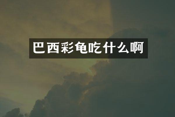 巴西彩龟吃什么啊