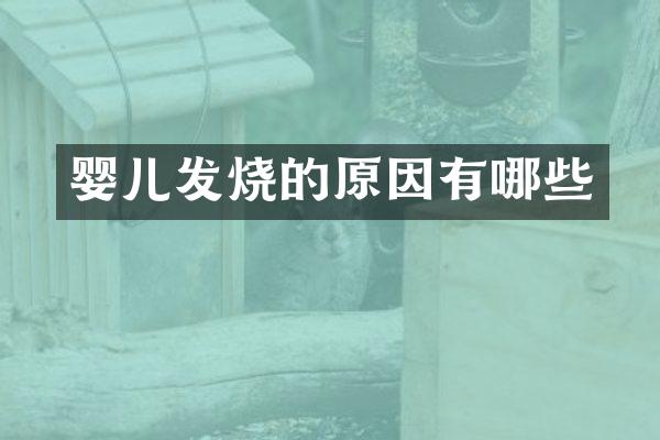 婴儿发烧的原因有哪些