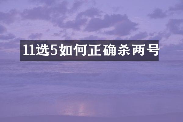 11选5如何正确杀两号