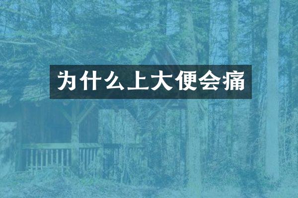 为什么上大便会痛