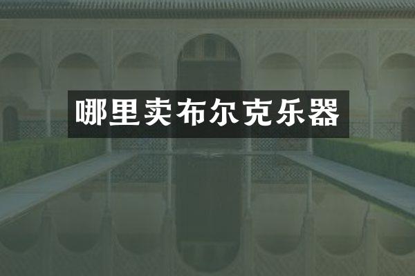 哪里卖布尔克乐器