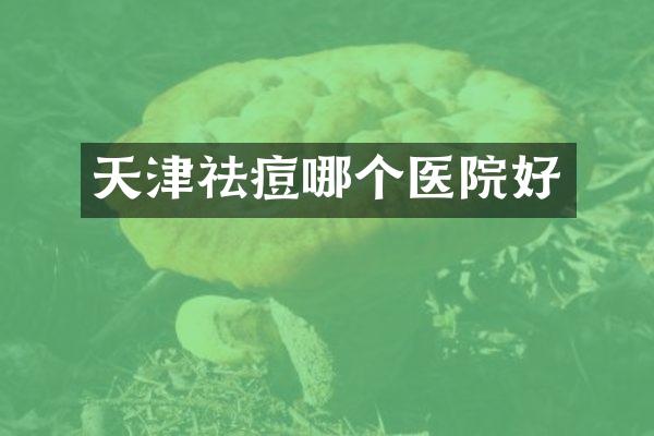 天津祛痘哪个医院好