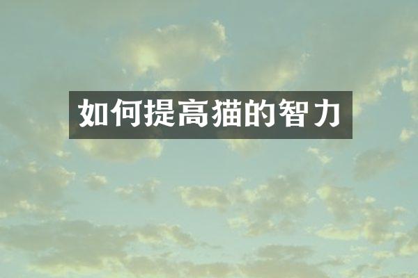 如何提高猫的智力