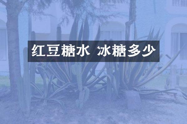 红豆糖水 冰糖多少