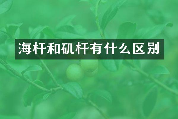海杆和矶杆有什么区别