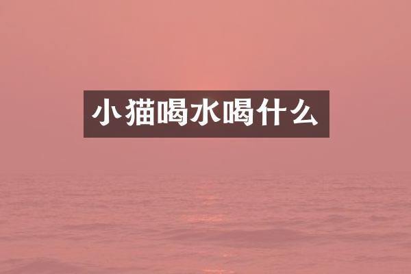 小猫喝水喝什么