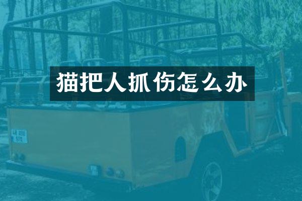 猫把人抓伤怎么办