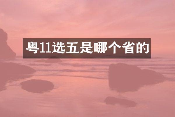 粤11选五是哪个省的