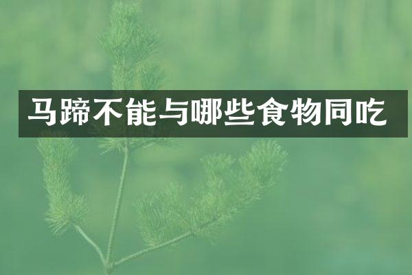马蹄不能与哪些食物同吃