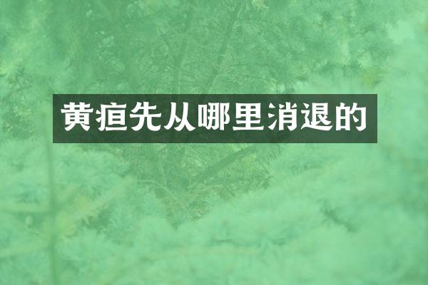 黄疸先从哪里消退的