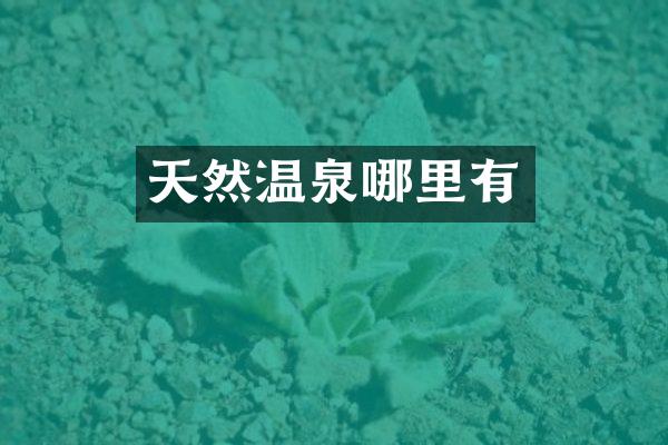 天然温泉哪里有