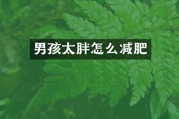 男孩太胖怎么减肥