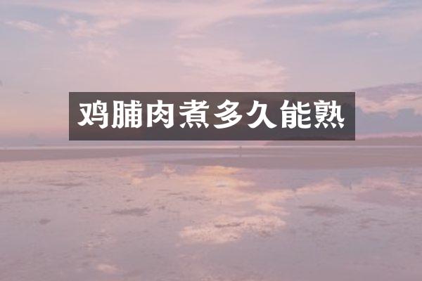 鸡脯肉煮多久能熟