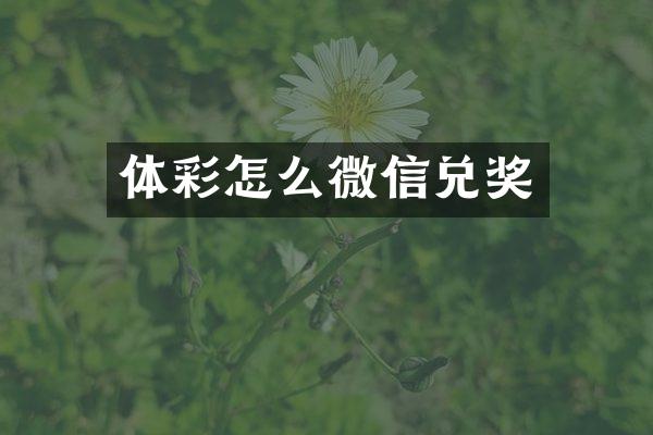 体彩怎么微信兑奖