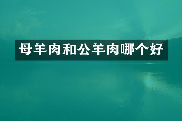 母羊肉和公羊肉哪个好