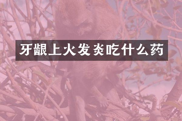 牙龈上火发炎吃什么药