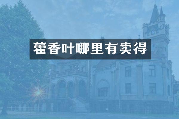 藿香叶哪里有卖得