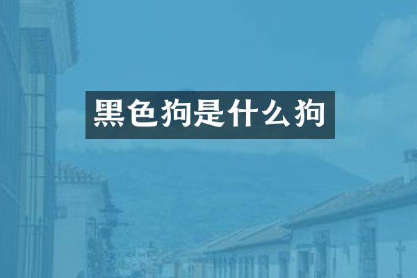 黑色狗是什么狗